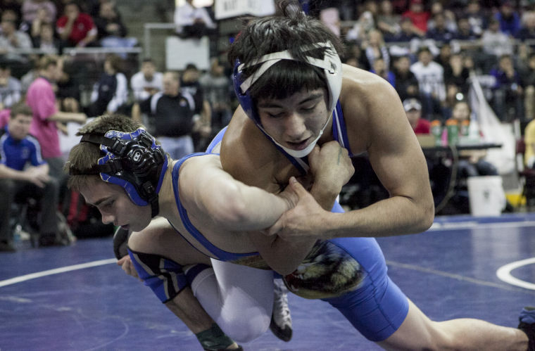 Wrestling: State Championships